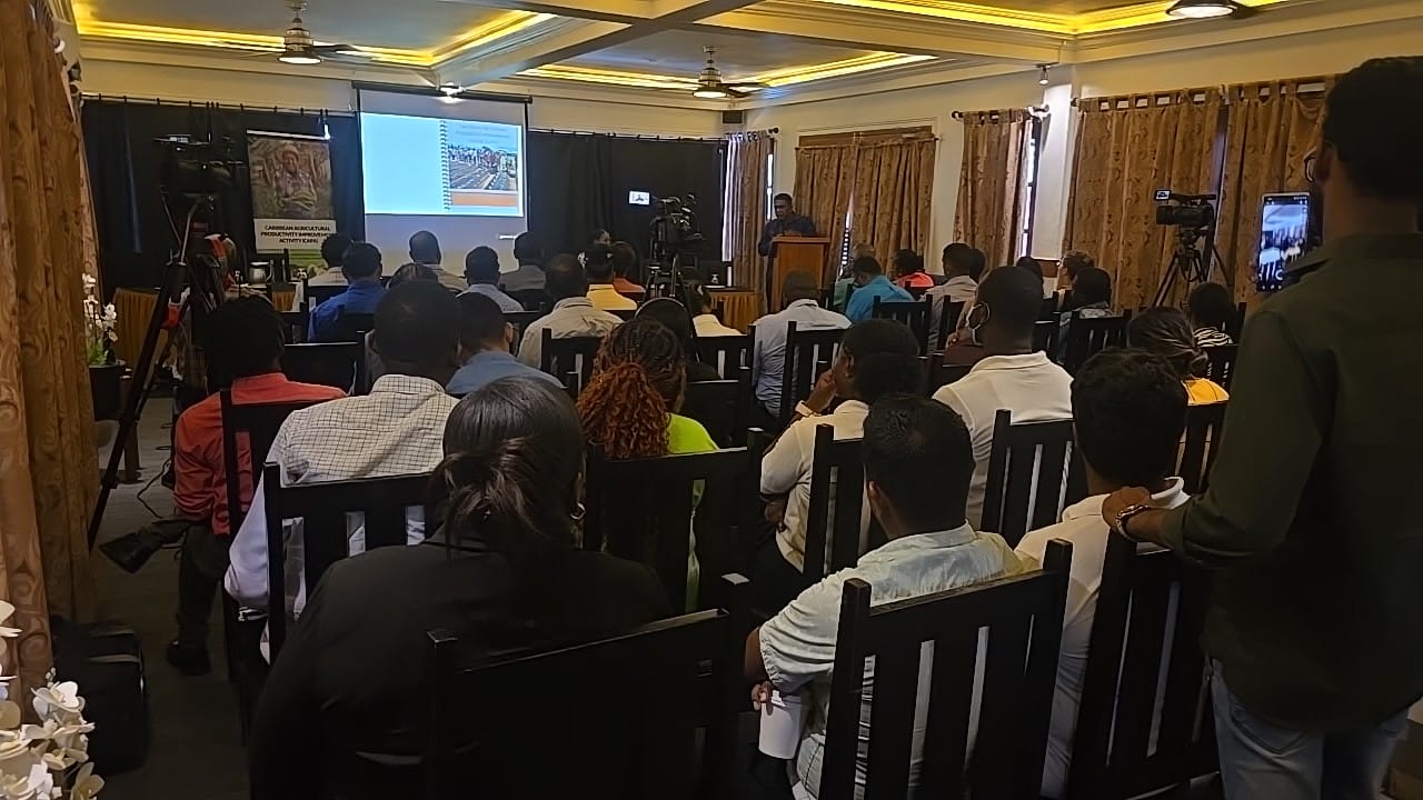 Commercial turmeric production boost for Region One