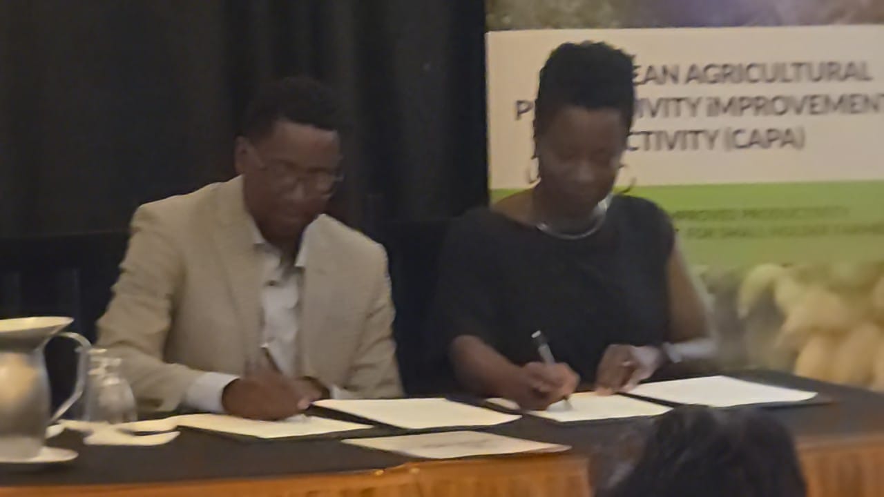 Guyanese-invented natural produce preservative to reduce food loss, lower prices