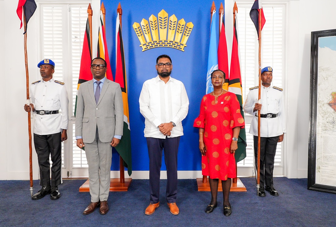 Kenyan lawyer and rights activist is new UN Resident Coordinator in Guyana