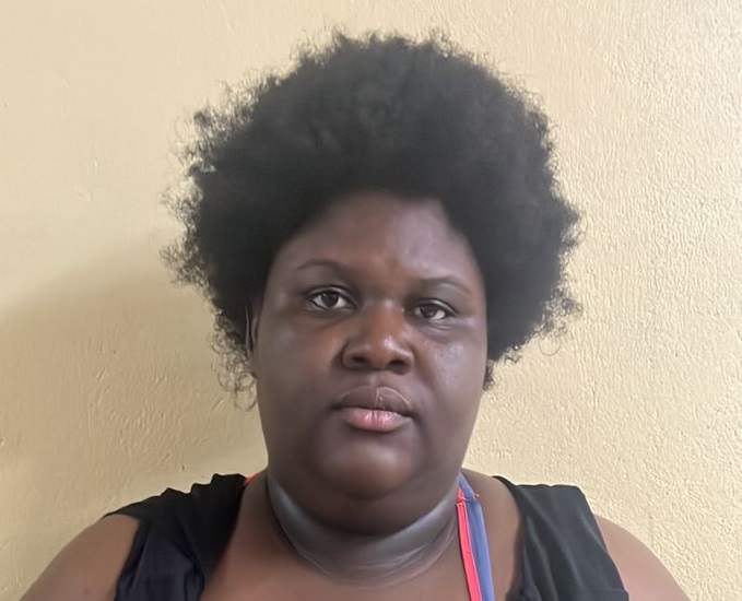 Stewartville businesswoman charged in vehicle scam