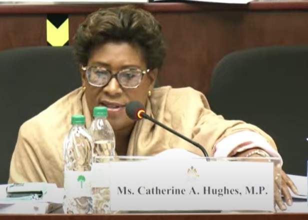 No reason yet for ethnic tribunal- Teixeira