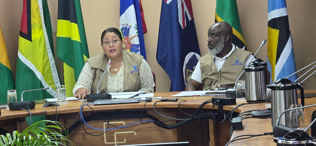 Legislation needed to block use of State resources for campaigning – CARICOM election observer chief