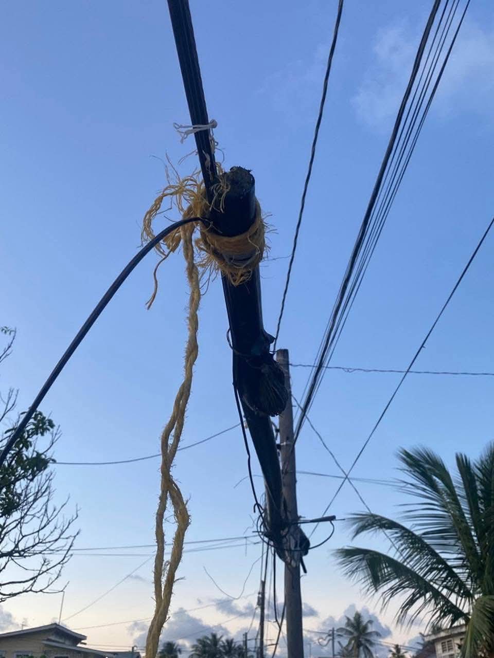 Cable vandalism leaves north Georgetown without phone, internet services