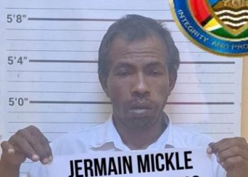 Man arrested for attempting to smuggle drugs to North West District – CANU