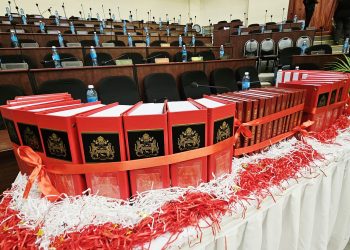 Laws must be revamped to cater for investors – Ali