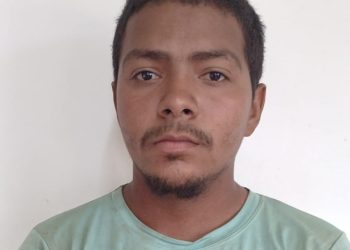 Brazilians plead guilty to illegal entry, illegal mining