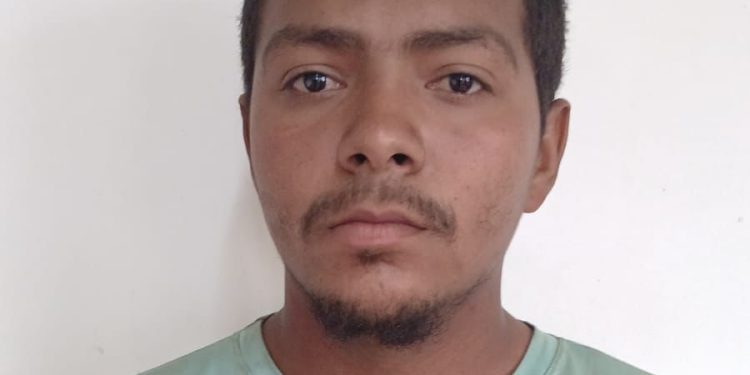 Brazilians plead guilty to illegal entry, illegal mining