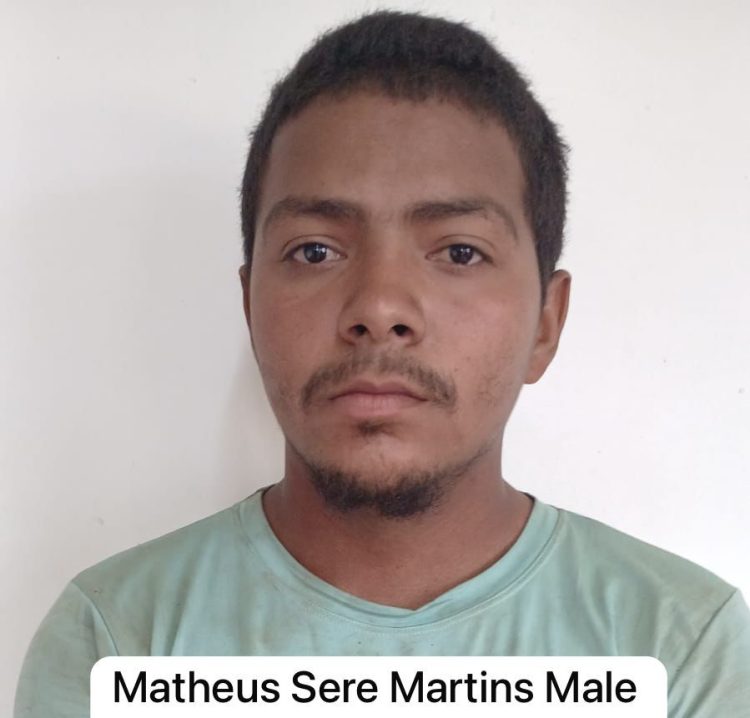 Brazilians plead guilty to illegal entry, illegal mining