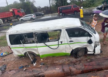 Woman dies in minibus accident
