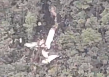 Air Services Limited plane crashes in rough terrain