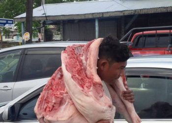 US firm examining possibility of boosting Guyana’s pork production, introducing international standards