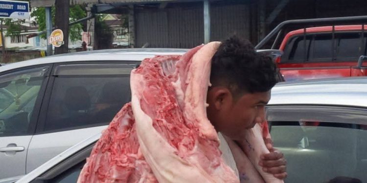 US firm examining boosting Guyana’s pork production, int’l standards compliance