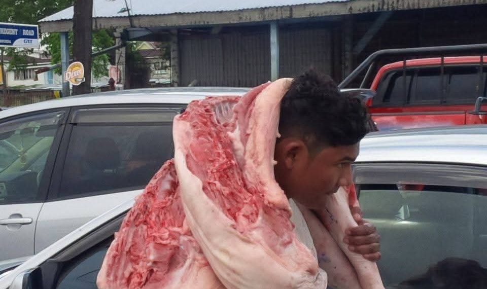 US firm mulling over boosting Guyana’s pork production, int’l standards compliance