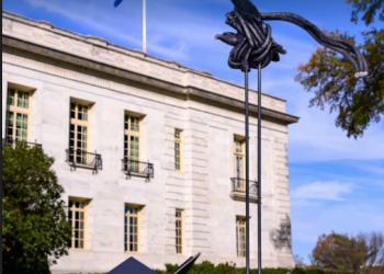 Guyana rapped by OAS human rights special rapporteur on freedom of expression