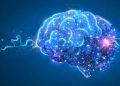 Billion dollar neurological centre in the works