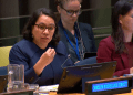 Peacekeeping must be backed by political solutions – Guyana’s nominee for UN Secretary General