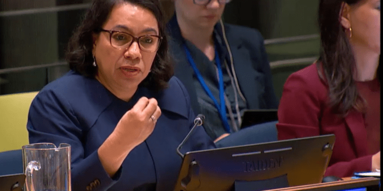 Peacekeeping must be backed by political solutions – Guyana’s nominee for UN Secretary General