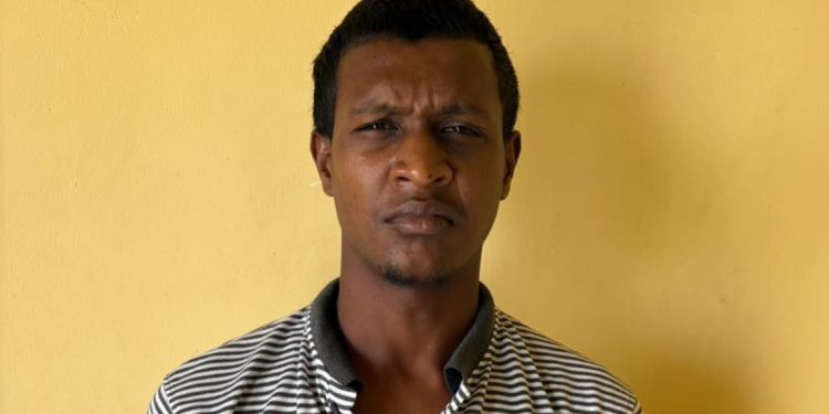 Cornelia Ida man charged with murder of mother