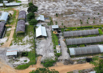 Opposition leader accuses president of “massive corruption” at highway “ranch”