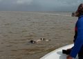 41 bodies from MV Barima tragedy recovered