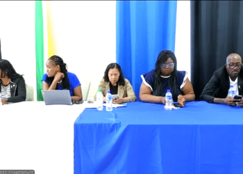 Call in int’l experts to investigate MV Barima tragedy – FGM leader