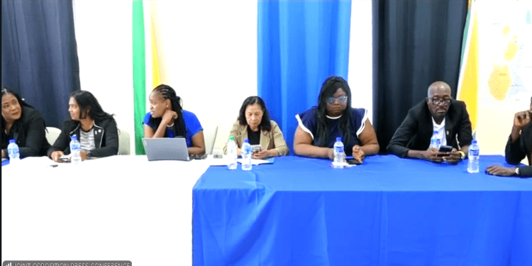 International experts must conduct investigations into MV Barima tragedy- FGM Leader