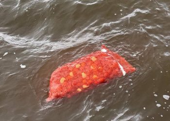 10 bodies recovered from MV Barima mishap
