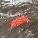 10 bodies recovered from MV Barima mishap
