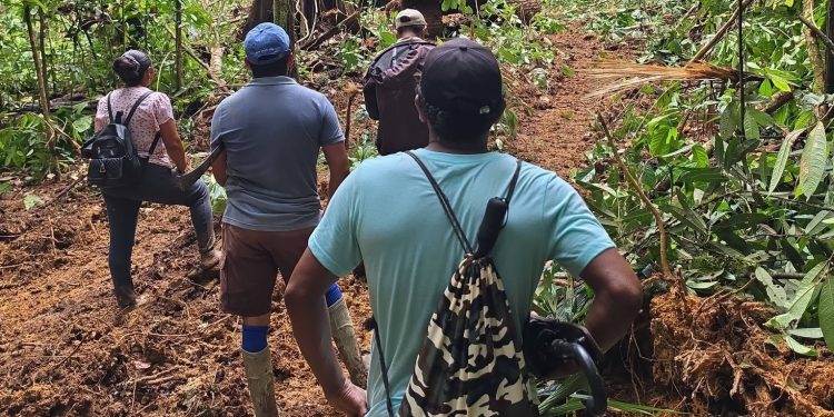 GHRA seeks international intervention to protect Indigenous Amerindians from gold mining