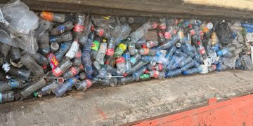 City Council in all out war against litterbugs