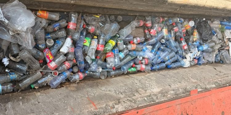 City Council in all out war against litterbugs