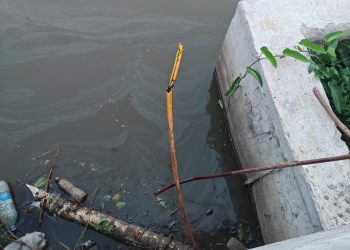 One Communications internet services being restored, repairs to continue tonight