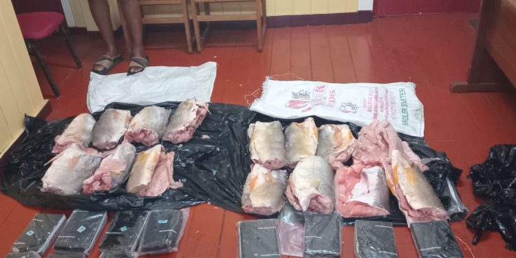 Cocaine-in-fish seized, one arrested