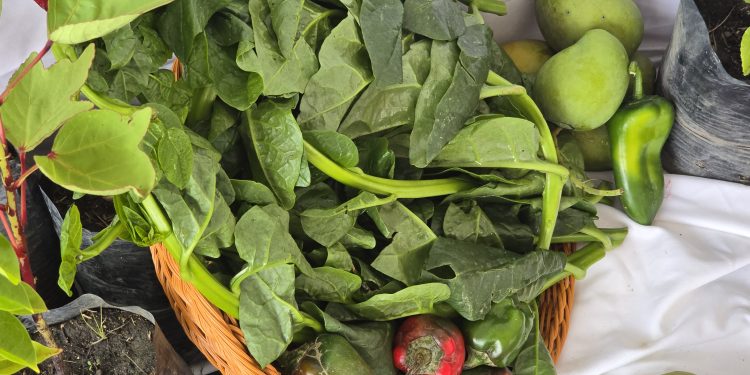 Cheaper food from today at farmers’ market