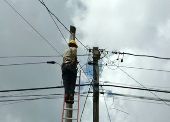 Electricity theft costing GPL billions
