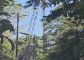 GPL silent on Meadowbrook Gardens’ health and safety concerns about transmission line