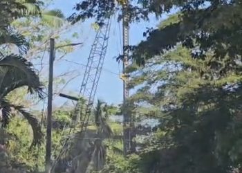 GPL silent on Meadowbrook Gardens health and safety concerns about transmission line