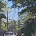 GPL silent on Meadowbrook Gardens health and safety concerns about transmission line
