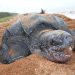 UK to assist with Shell Beach conservation- British High Commission